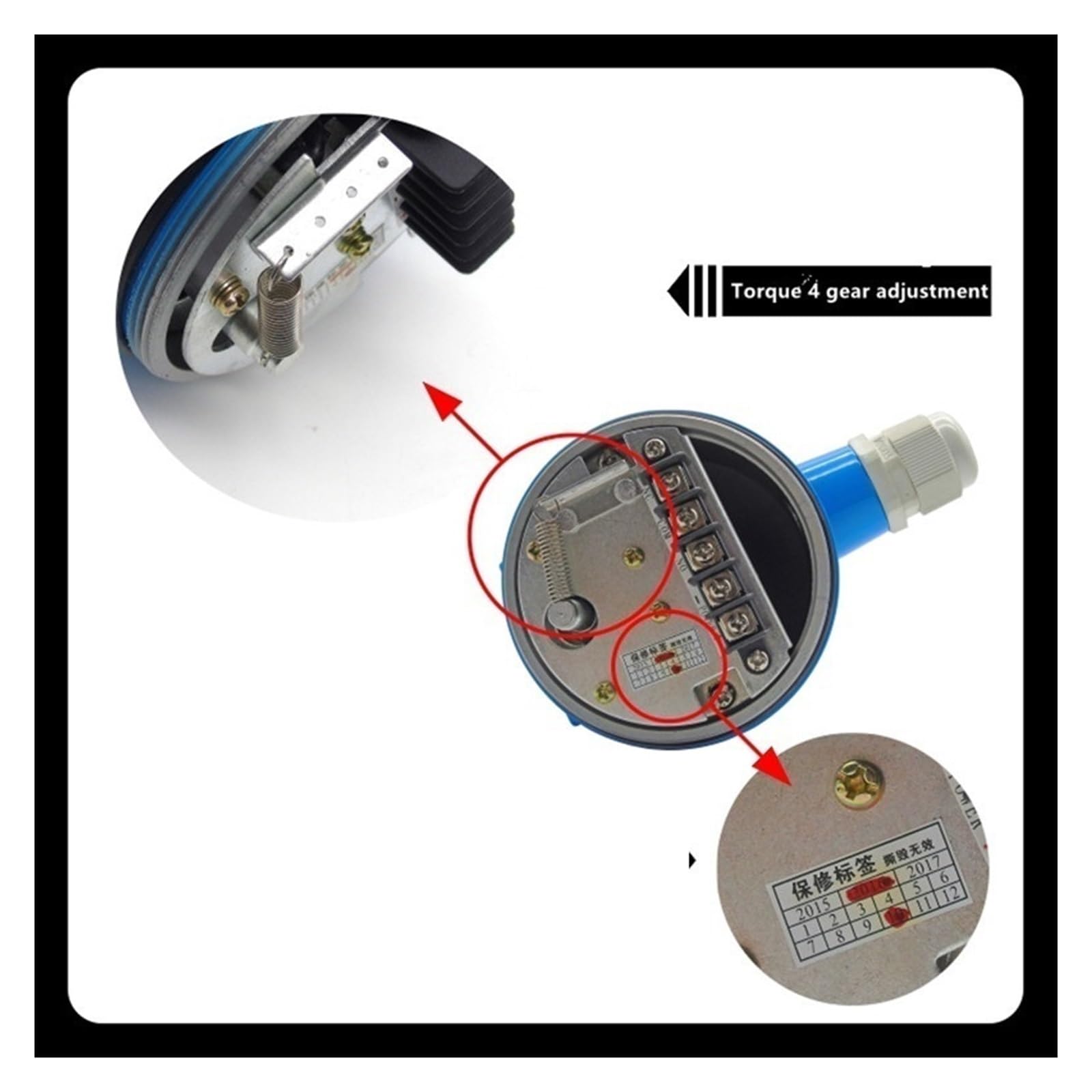 Füllstandssensor für industrielle Schüttgüter, Drehflügel-Füllstandschalter, Doppellager, 220/110/24 V, G1, Resistiv, 304-Blatt(B-24VDC)