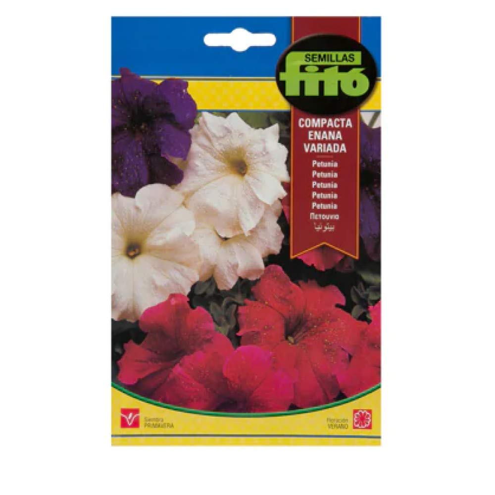 Fito Dwarf Petunia Compact Mix Flower Seeds
