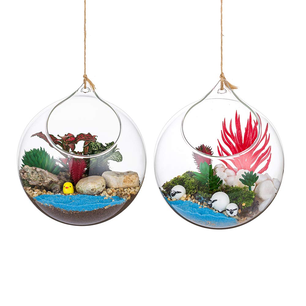 Plantas Colgantes de Aire 2 Piezas Portavelas de 4.72 Inches Cristal Terrario Portavelas Contenedores de Plantas de Vidrio para el Diseño de Bricolaje de Jardín de Bodas en Casa