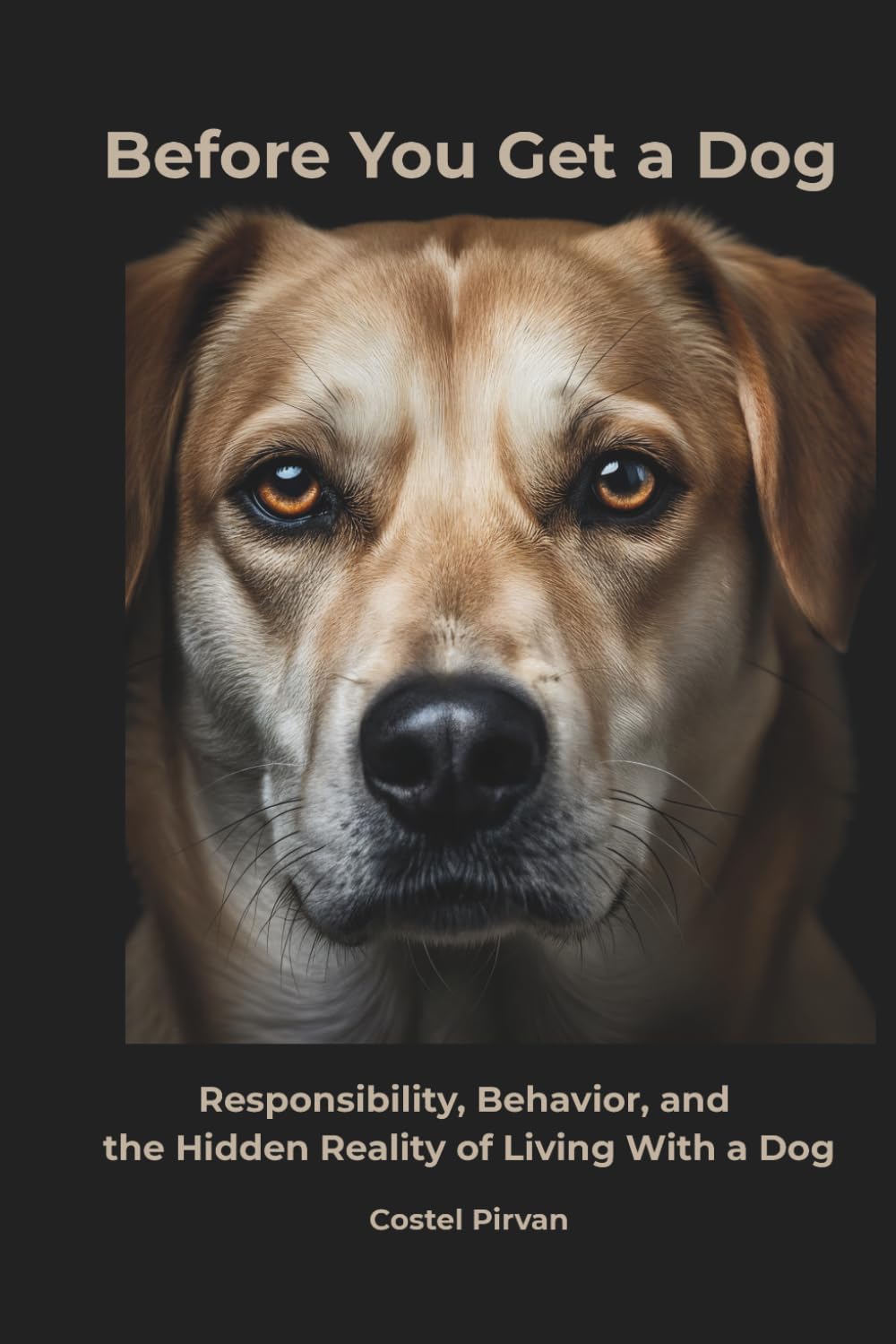 Before You Get a Dog: Responsibility, Behavior, and the Hidden Reality of Living With a Dog
