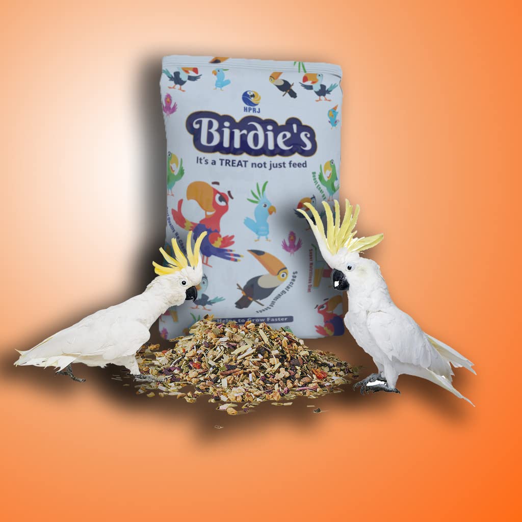 Birdies Mix Seeds Food for Medium Size Birds (COKATIEL, Parakeet & Conure) - (1Kg), High Nutritious, 100% Natural - Chemical Free, Strengthen Feather, Stronger Bone, Veterinary Approved. (B09X5B923W) Amazon Price History, Amazon Price Tracker