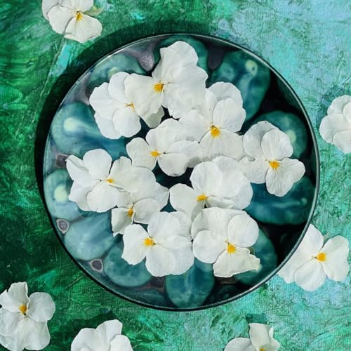 Flores de viola blancas liofilizadas comestibles, 20 cabezas, grado alimenticio (544)