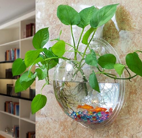 Miniatura 7 de Maceta pecera Yooyoo acuario creativo de acrílico colgante montado en la pared para plantas acuáticas, maceta acuario decorativa con forma de