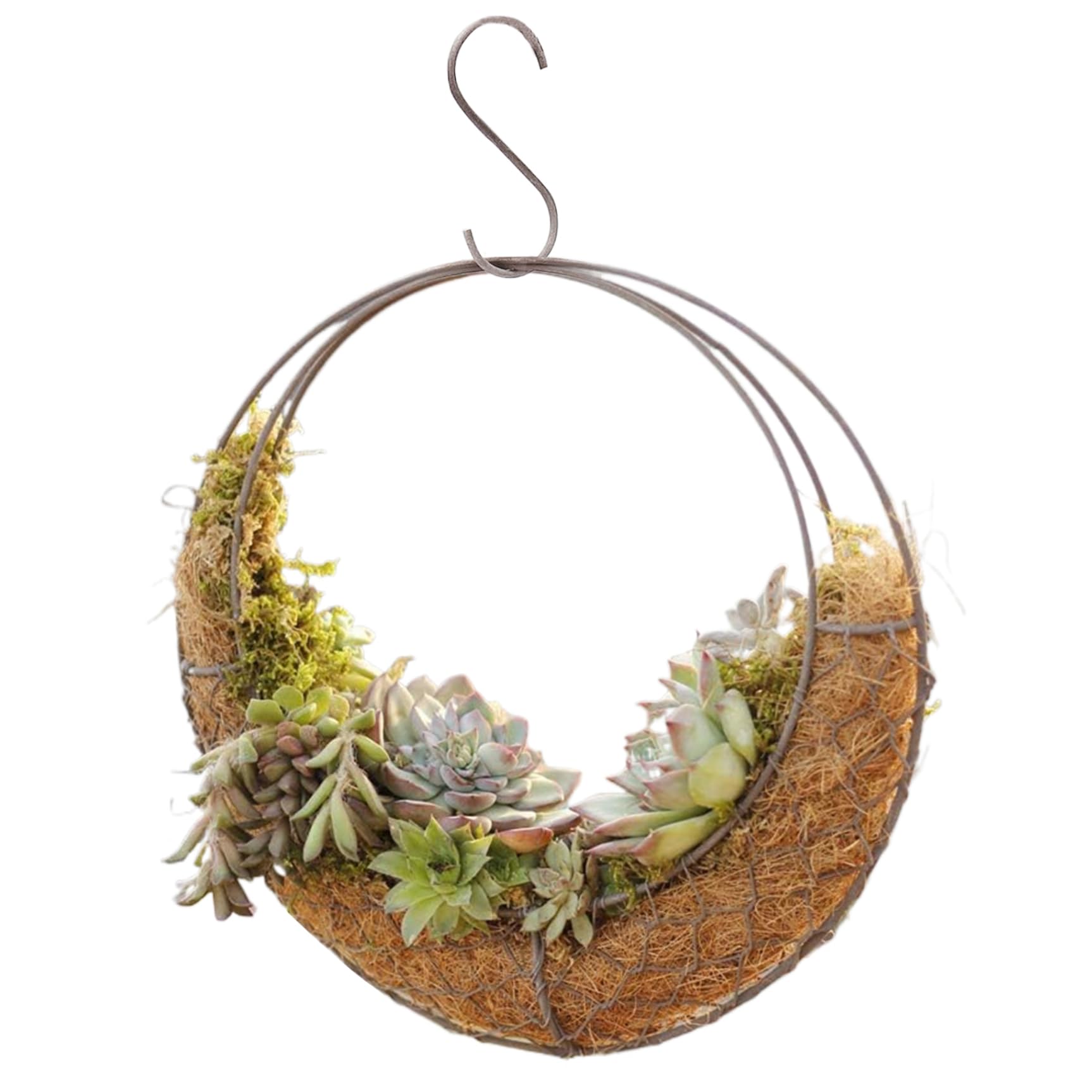Jardinière de lune suspendue avec panier en fil ventilé et crochet robuste