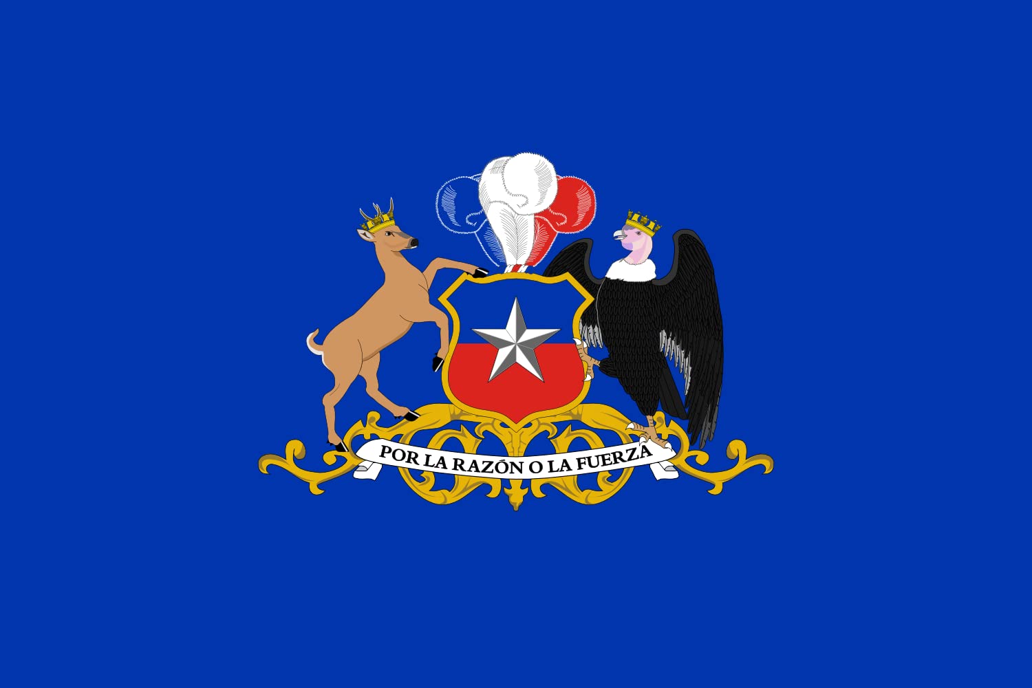 Drapeau Minister of Defence Chili grand format tissu résistant anti-décoloration
