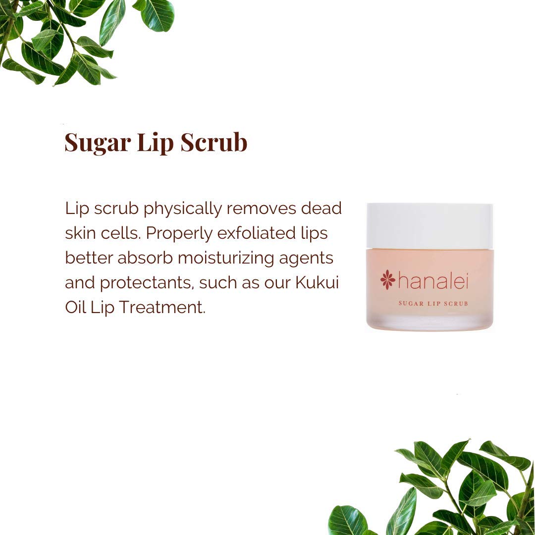 Vegan and Cruelty-Free Sugar Lip Scrub Exfoliator by Hanalei – Made with Hawaiian Cane Sugar, Kukui Oil, and Shea Butter to Exfoliate, Smooth, and Brighten Lips Made in the USA (22 g) : Beauty & Personal Care