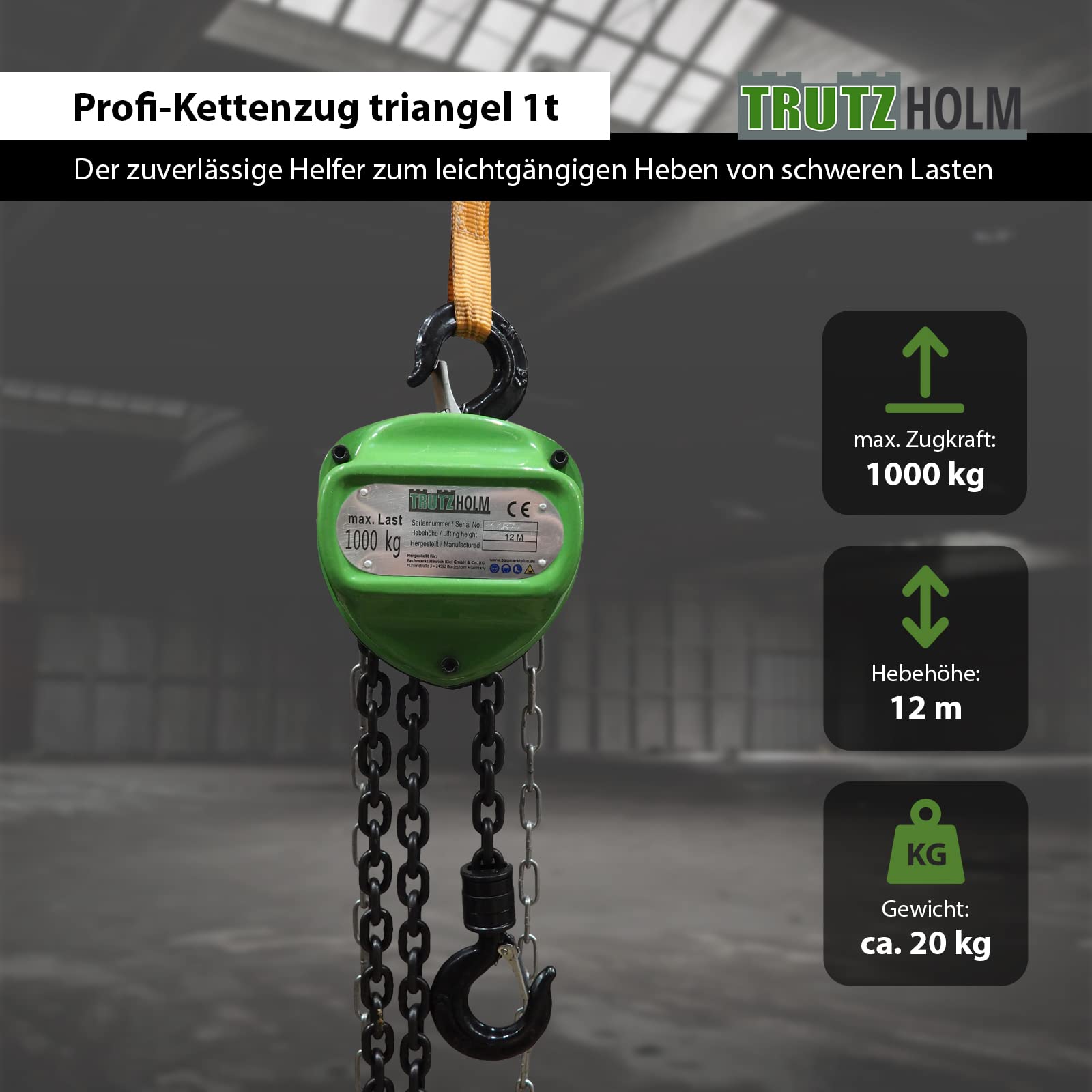 TRUTZHOLM Flaschenzug 1000 kg 1 t Tragkraft 12000 mm 12 m Hubhöhe HSC Triangel