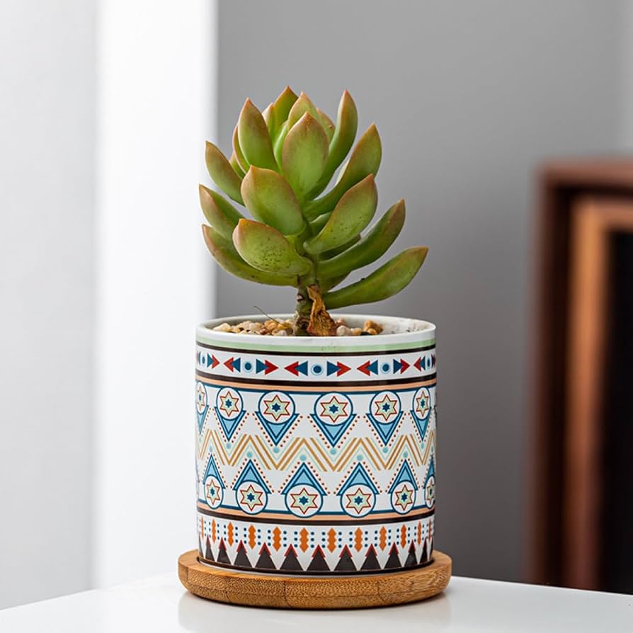 Amazon｜植木鉢 4点セット セラミック サボテン鉢 小型植木鉢