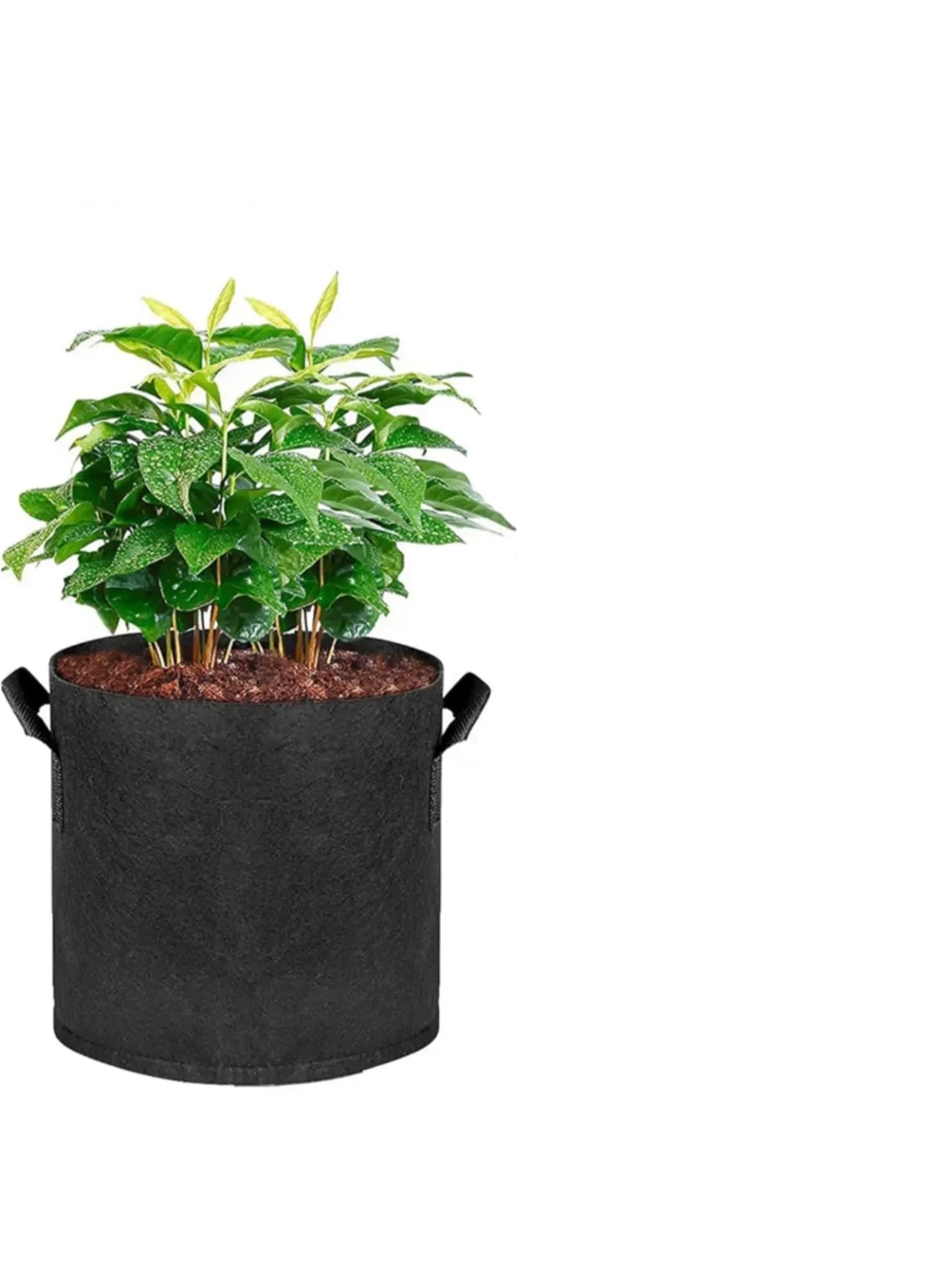 Lot de 5 Sacs Culture en Tissu avec poignées (Capacités Disponibles : 3 gallons, 4, 7, 30 gallons) pour Plantes(30gallons 60x40cm)