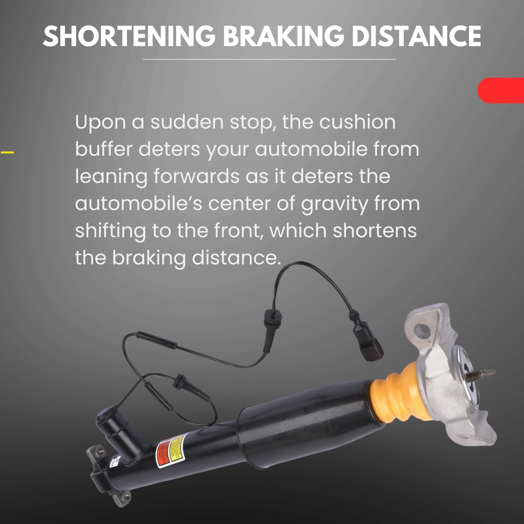 Amazon.com: F2GZ18125J F2GZ18125Z Rear Shock Struts Assembly Pair