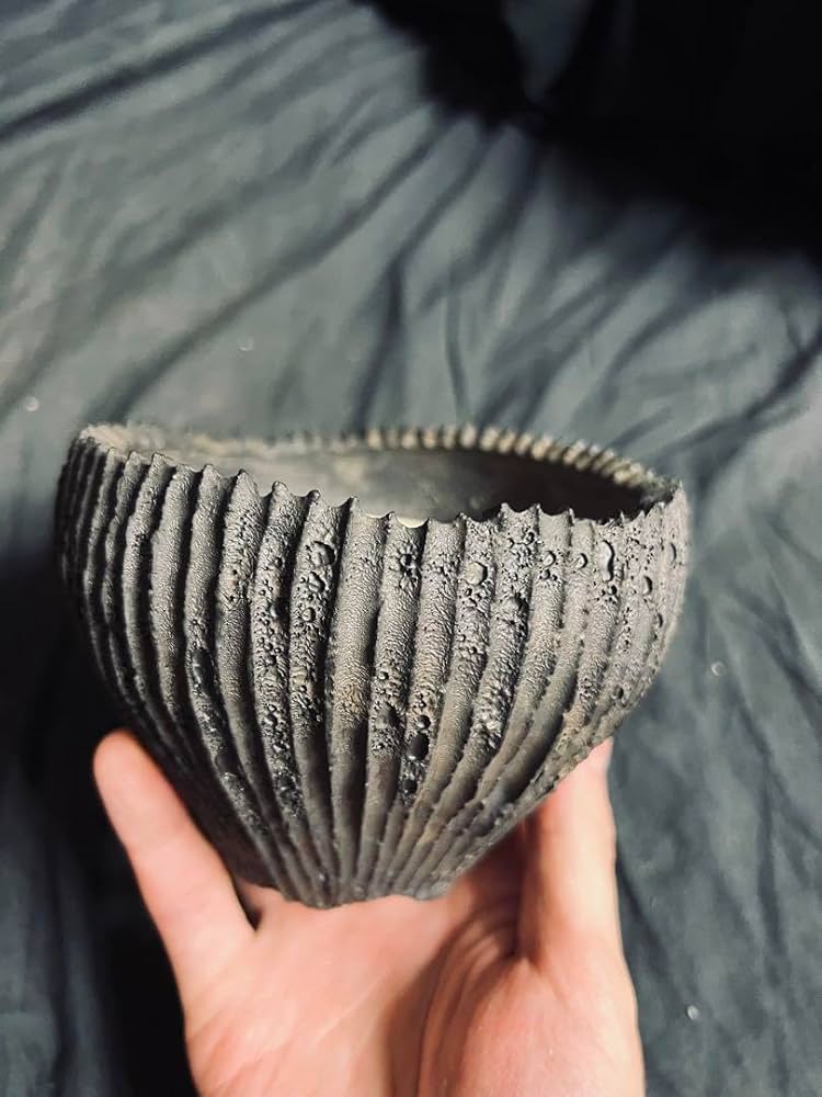 小野瀬一 しのぎ 植木鉢 小野瀬一 しのぎ 植木鉢