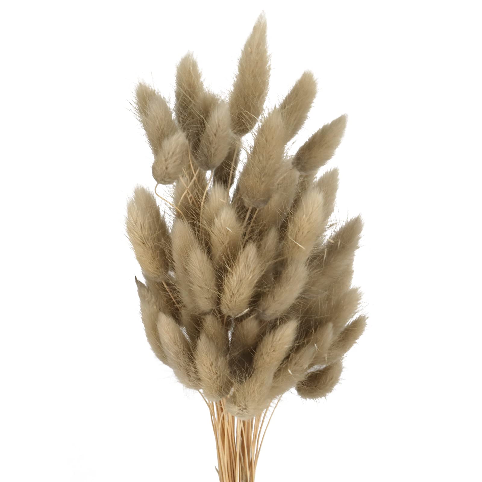 JKDHJK50 Sticks Pampas Grass Dried Flowers No Odor Never Wither Dried Flowers Bouquet Boho Decor Extra Fluffy Decorative Home Accessories (light brown)