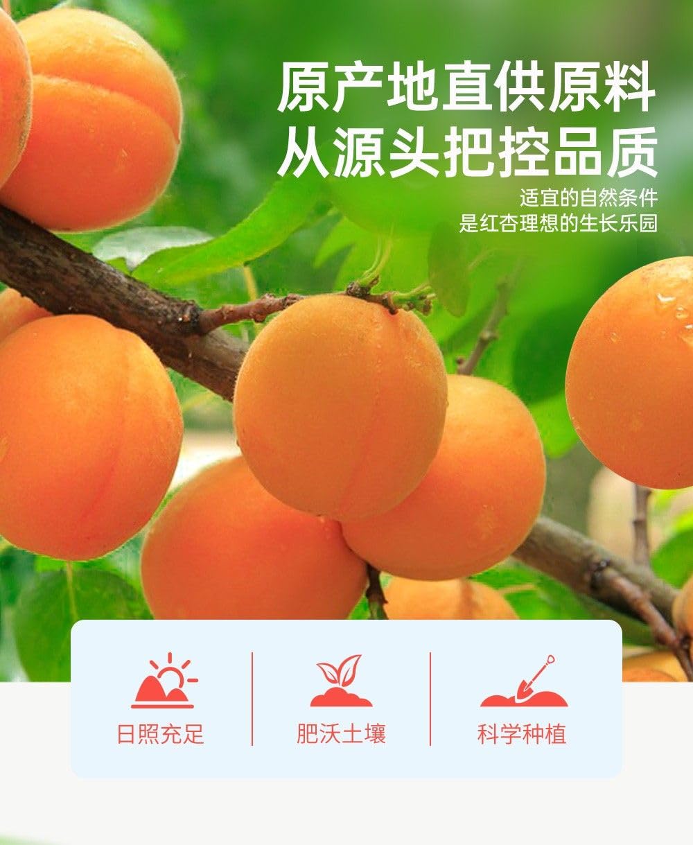 Amazon.co.jp: 【软糯即食红杏干】 红杏果子 天然无添加杏干果 营养杏