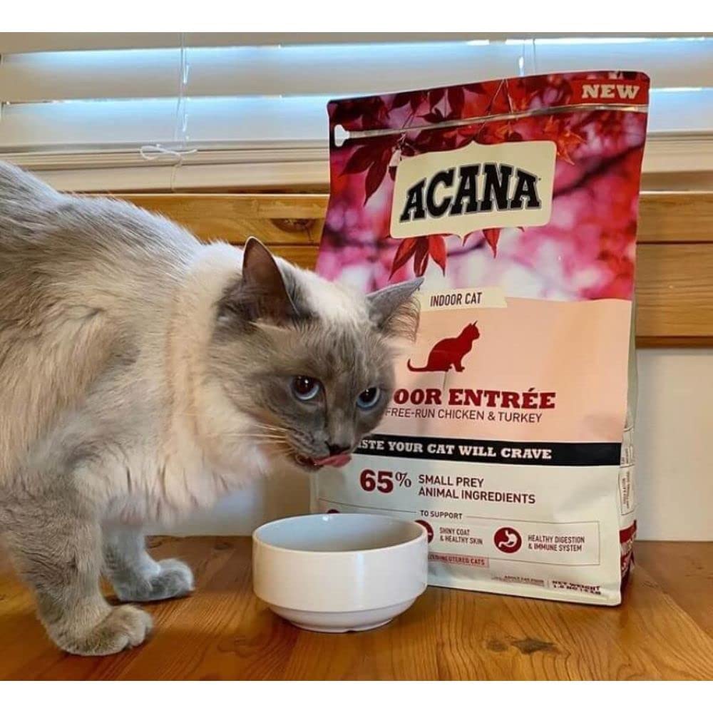ANIMALUJOS - Pienso sin Cereales para Gatos Esterilizados Entrée 4,5 kg | Alta proteína Natural | Bajo en carbohidratos | Control de Peso y Salud urinaria