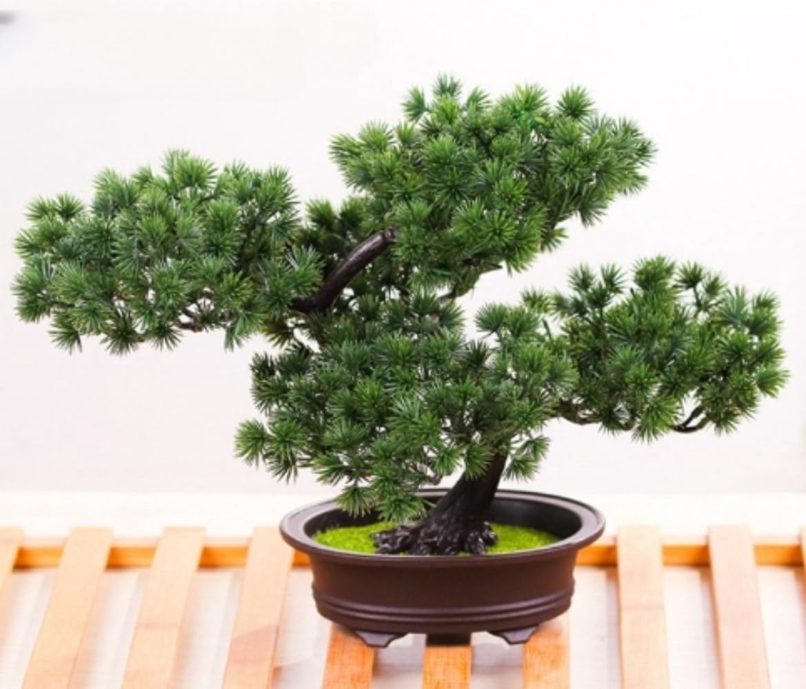 Amazon｜Farigrut 人工盆栽杉、人工植物、盆栽レプリカ人工盆栽
