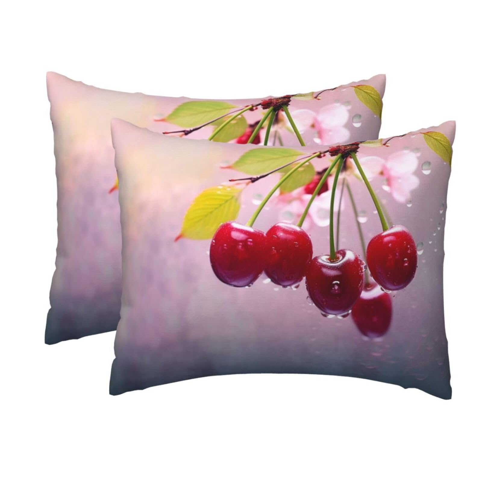 2 Pack Standard Size Pillow Cases for Hair and Skin Soft Breathable Pillow Case Covers with Hidden Zipper Cherry Pillowcase 20x26 Inches Pillow Cover for Sleeping Gift