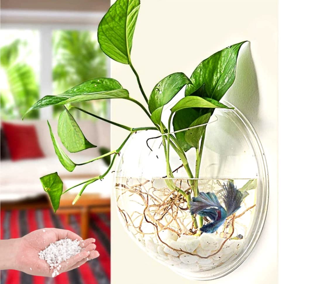 VAYINATO® Wall Hanging Mounted Fish Bowl Betta Tank Aquarium Home Decoration, 12inch - White Pebbles Gravel Stones by Petzlifeworld (B0C1NGPXQL) Amazon Price History, Amazon Price Tracker