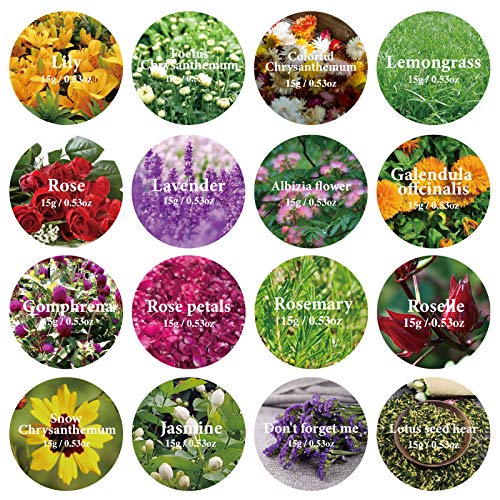 View 3
