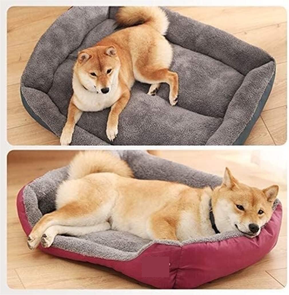 YAMAHA BW'S125 黄 格安提供車 半額配送キャンペーン クランキング確認