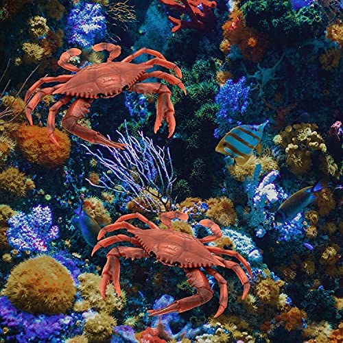Auear, Plastic Crab Plastic Crabs For Decor Crab Decor Artificial Crab Sea Life Creatures Artificial Plastic Crab, Simulated Sea Animal Home Party Decor Creative Gift (Red, 2-Pack) #TOP10