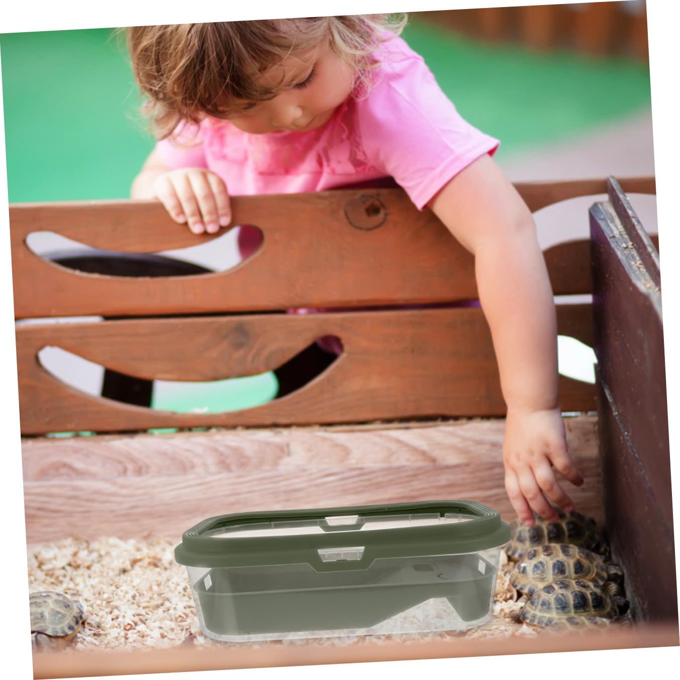 Hemobllo Vasca per Tartarughe con Piattaforma, Plastica, Verde | Uso Domestico, Facile da Pulire, Design Creativo, per Tartaruga Acquatica e Tartaruga, Categoria Terrari