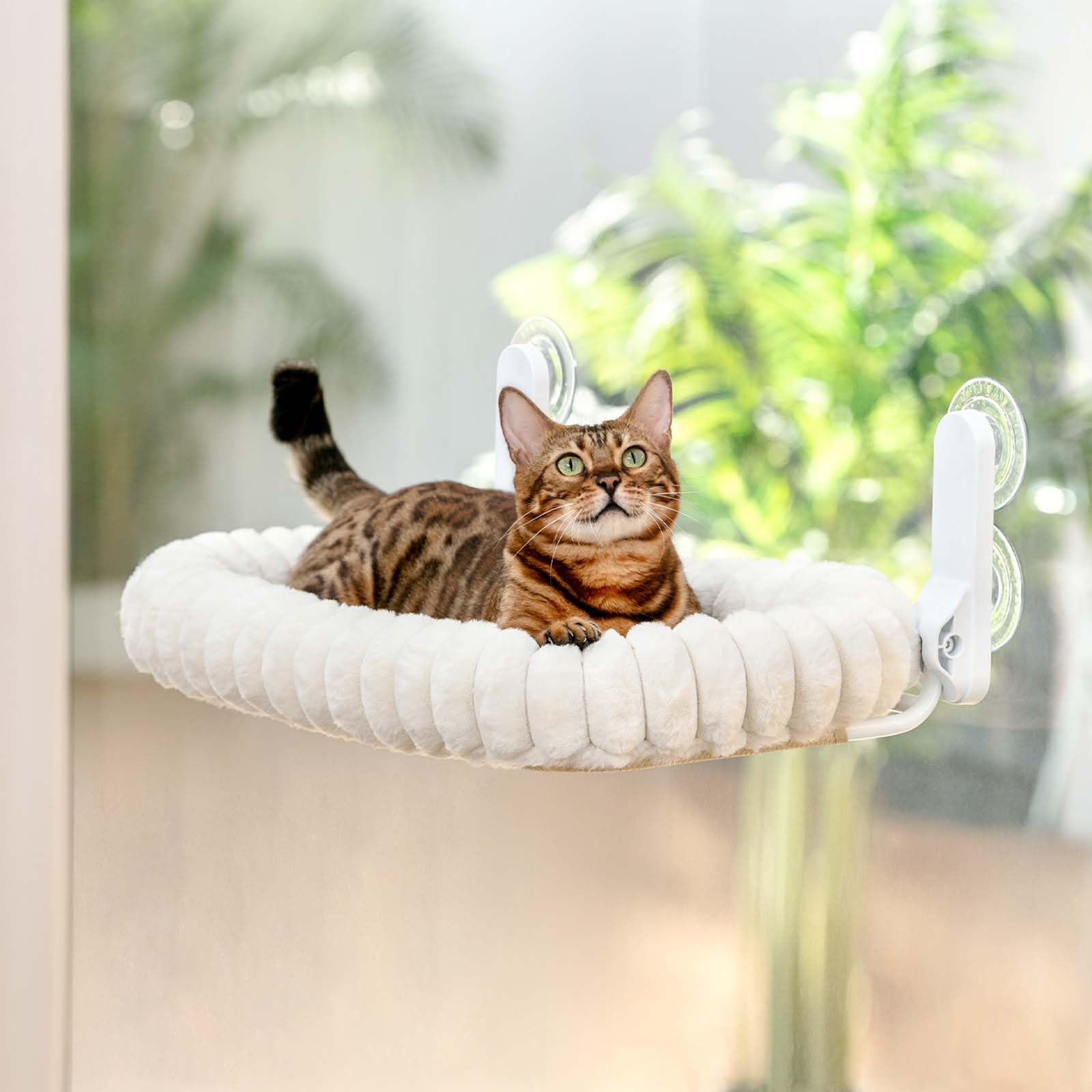 GUUSII HOME Hamac Chat Fenetre Pliable Panier Perchoir Suspendu Lit pour Petite et Grande Chats Ventouse Support Transat Etagere Coussin Chaise Interieur Tapis Réversible 54 * 30cm (Blanc, M)