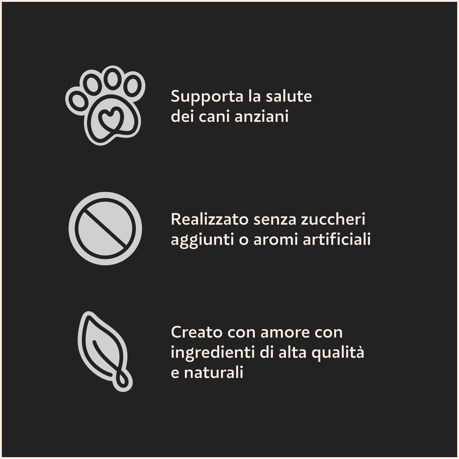 Cesar Senior 10+ Cibo per Cane con tenero Pollo e Riso, 150 g, 14 Vaschette