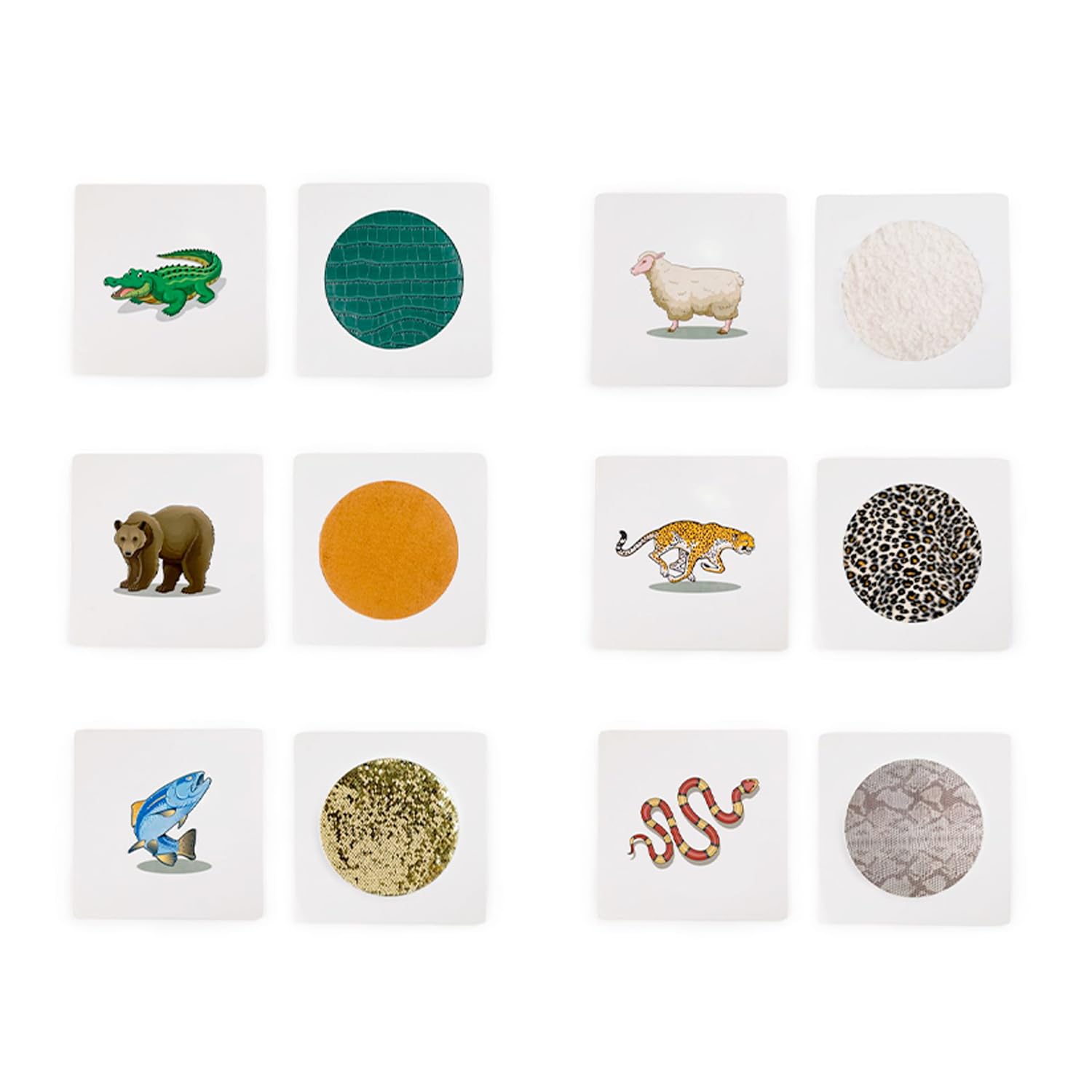 Playlearn 12X Interactive Animal Texture Learning Set for Guess the Animal Game-Double Sided Animal Match Tactile Educational Resource Explore Textures&Colours-Perfect Animal Lover Gifts for Kids
