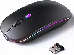 Mouse Sem Fio Recarregável, Ergonômico, com Led RGB, Conexão Dual Bluetooth 5.0/USB 2.4GHz, DPI Ajustável, perfeito para Notebook, Laptop,PC, Desktop, Silencioso (Preto)