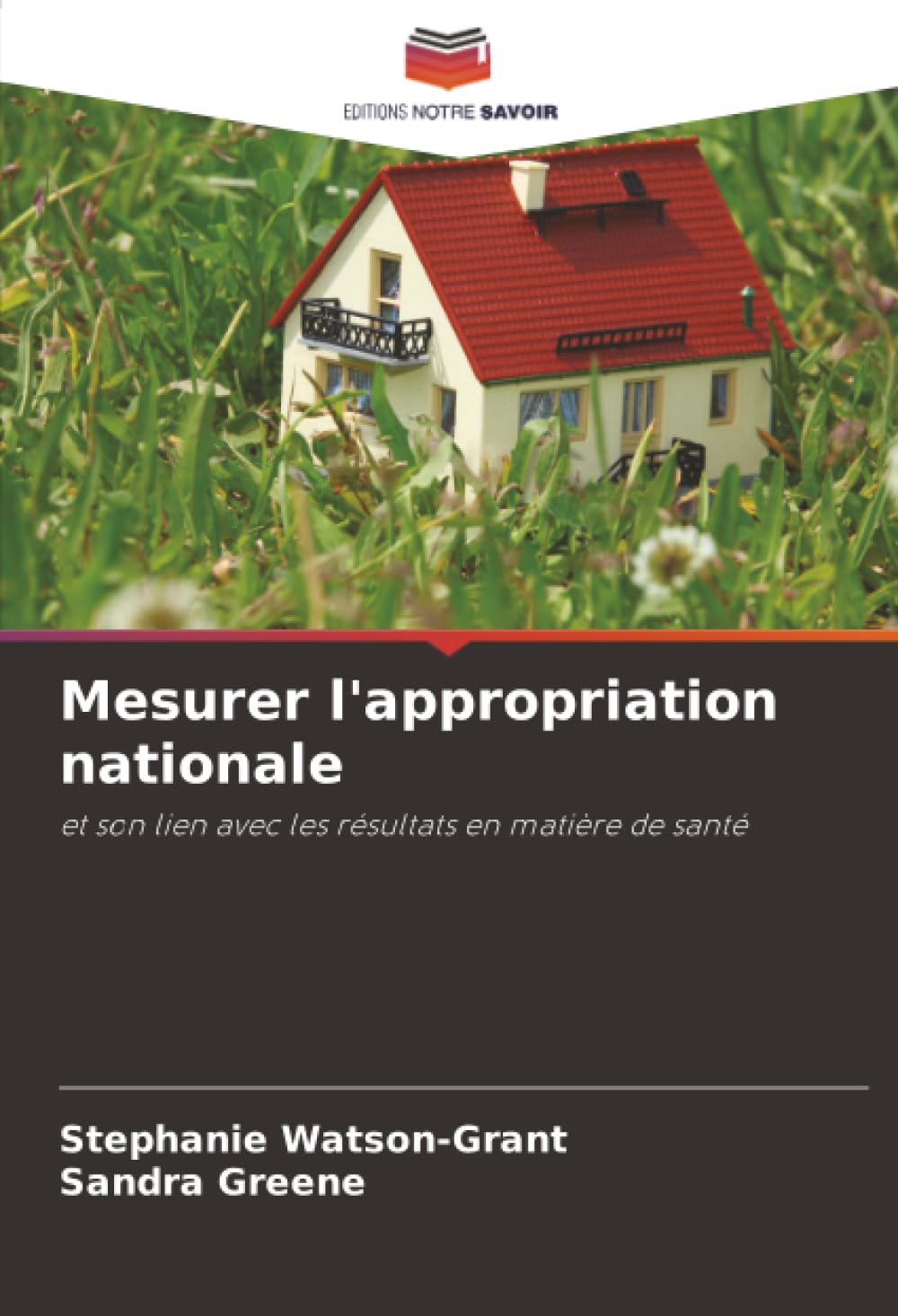 Mesurer l'appropriation nationale: et son lien avec les résultats en matière de santé