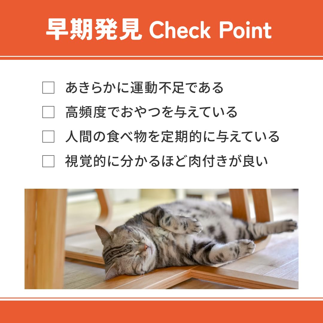 Amazon.co.jp: VetsWell(ベッツウェル) 猫用食事療法食 肥満ケア 2kg