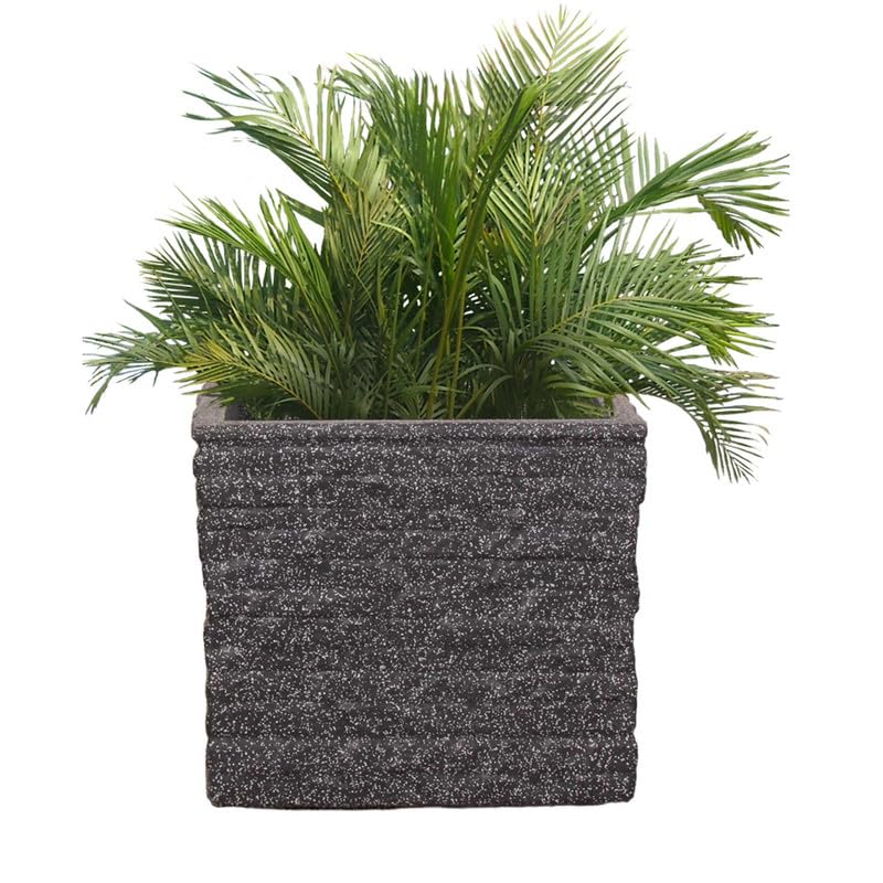 See full amazon price history chart for Garden Tales Decorative Plastic Marble Look Coral Pot | Flower Pot | Suitable for Home Indoor and Outdoor Gardening Planter - Color : Gray/Granite, Size : 10.5 Inches (26.67cm) - Set of 1 Garden Tales Decorative Plastic Marble Look Coral Pot | Flower Pot | Suitable for Home Indoor and Outdoor Gardening Planter - Color : Gray/Granite, Size : 10.5 Inches (26.67cm) - Set of 1 (B0CX9TSY5X) Amazon Price History, Amazon Price Tracker