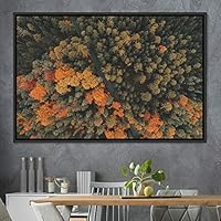 Framed Canvas Wall Art Greenlands Aerial Dark Farmhouse/Country Green Nature Photography Realism Relax/Calm - 16x24 inches