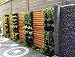 Delectable Garden Cloth 12 Pocket Hanging Vertical Garden Wall Planter for Yard Garden Home Decoration