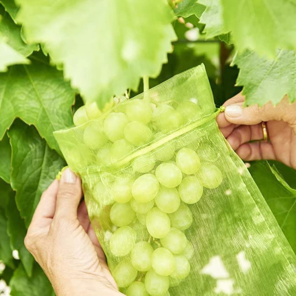 Bolsas de Malla para Frutas, Bolsas de Cultivo for Verduras y Frutas (50 Unidades), for Plantas, Uvas, protección, Red con cordón, Malla de Maquillaje.(100pcs 10 X 12cm)