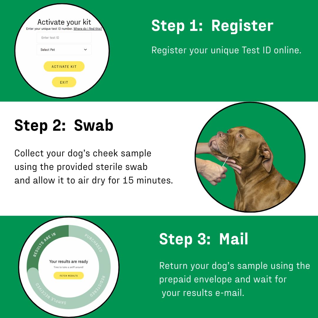 DNA My Dog Test identyfikacyjny rasy psów