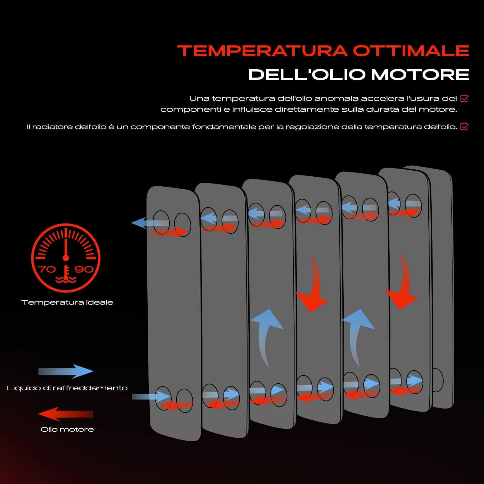 Frankberg Radiatore dell'olio Compatibile con 4 Coupé G22 G82 M4 CSL Serie 3 Touring G21 G81 M3 Competition xDrive Serie 3 G20 G28 G80 M3 Serie 3 G20 G28 G80 M3 Competition 17118095293