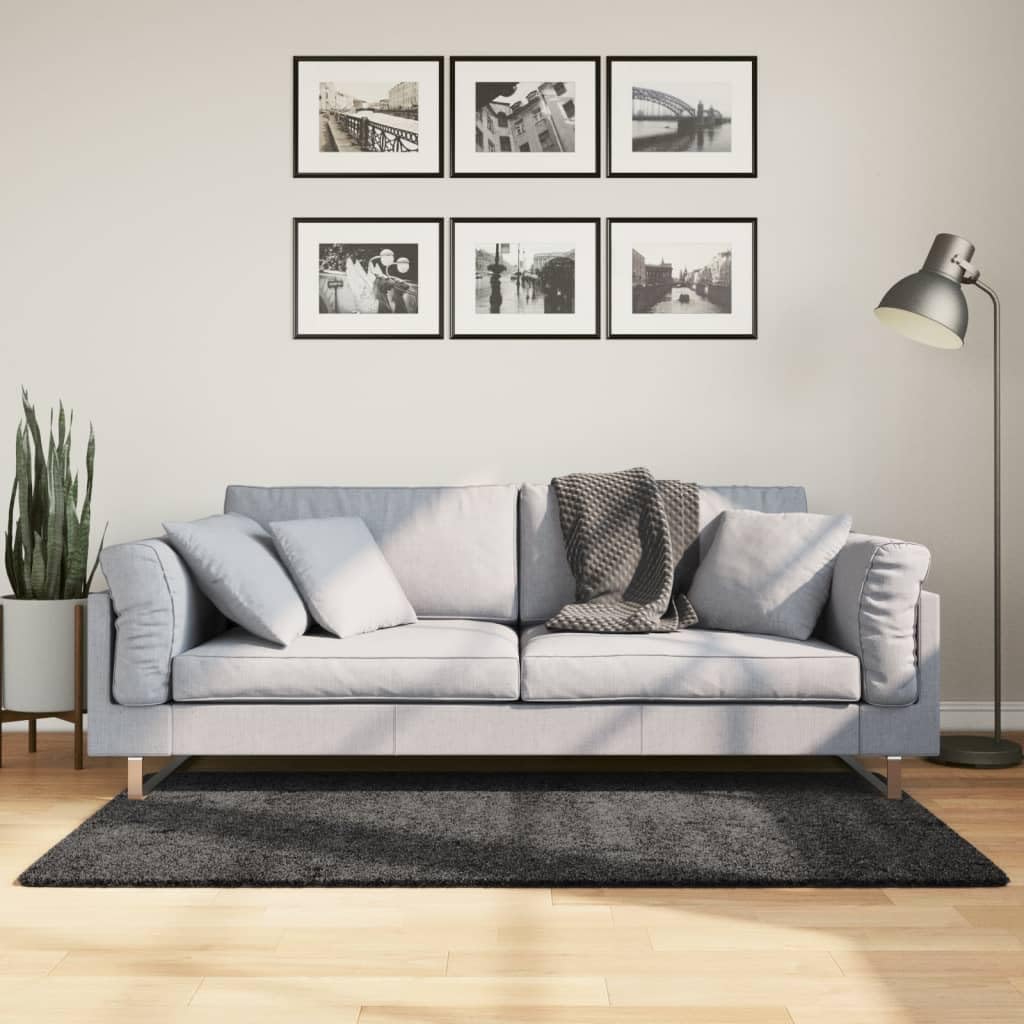 Tapis shaggy anthracite 120x170cm salon chambre | Poils longs 30mm doux
