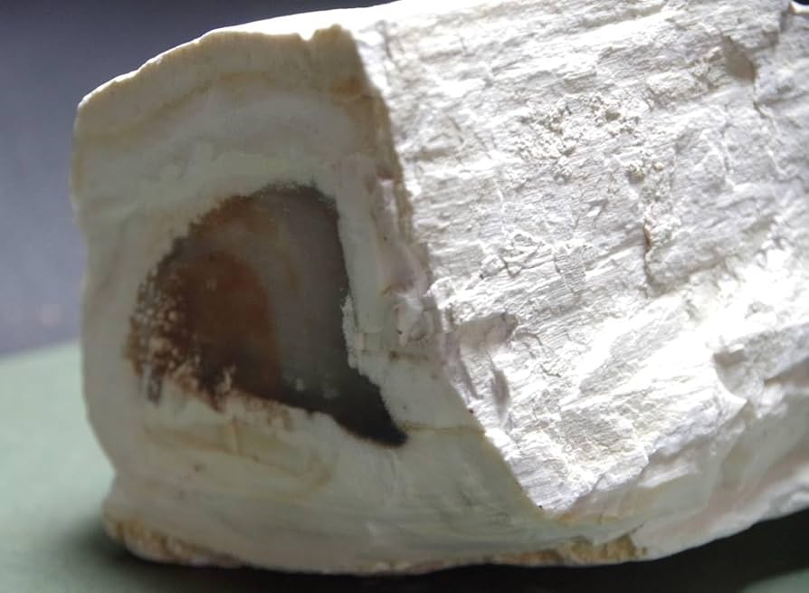 BM、珪化木セット Amazon.co.jp: 珪化木瑪瑙化木化石2.4kg忍耐継続と平常心の