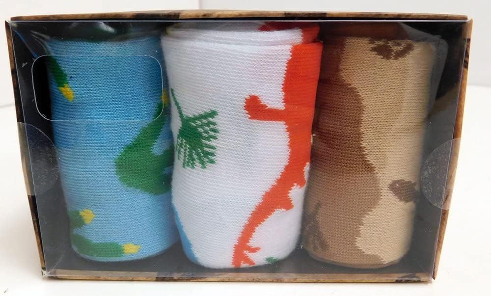 Dinosaur Fossil 3 Pair Crew Box Set - Image 6