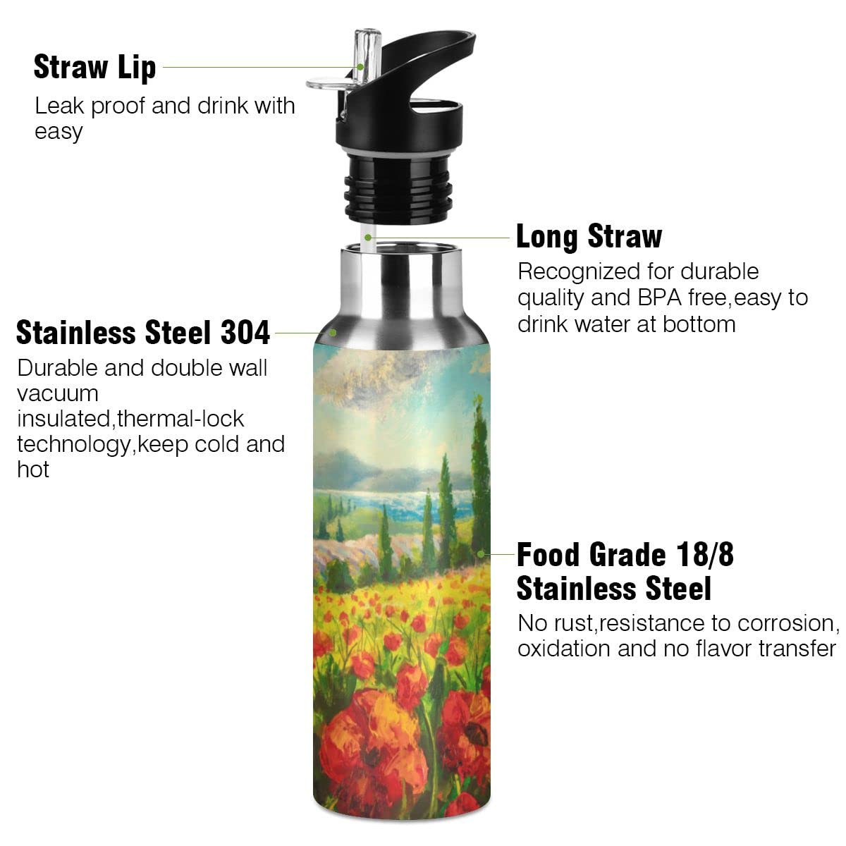 Edelstahl Wasserflasche mit Strohhalm, rote Mohnblumen isolierte Trinkflasche Sport Wasserflasche für Kinder Erwachsene, auslaufsicher, 1L