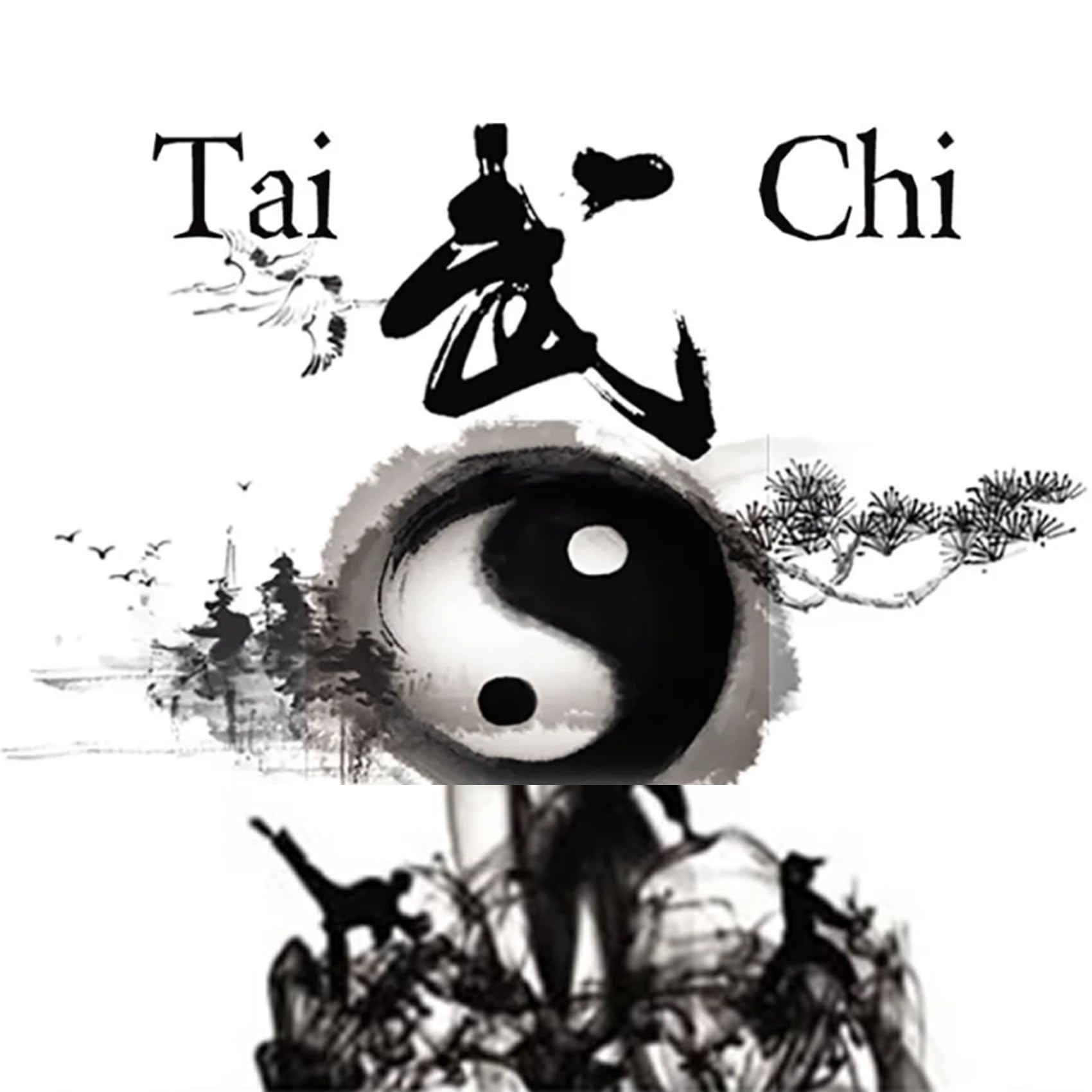 Damen Tai Chi Anzug Kampfsport Kleidung Chinesischer Kung Fu Tencel Schleier Hanfu Anzug Für Wing Chun Zen Meditation