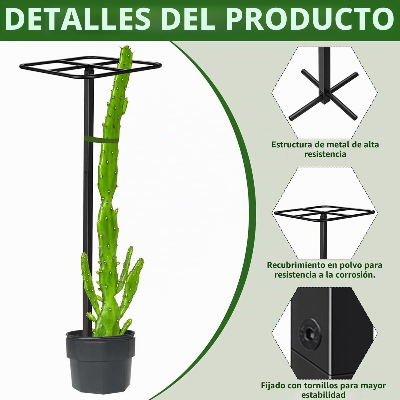 Tutor para Pitahaya | Soporte de Jardinería,Poste de Soporte para Pitahaya, Viñas, Hortálizas y Plantas de Interior/Exterior en Balcón, Terraza o Jardín