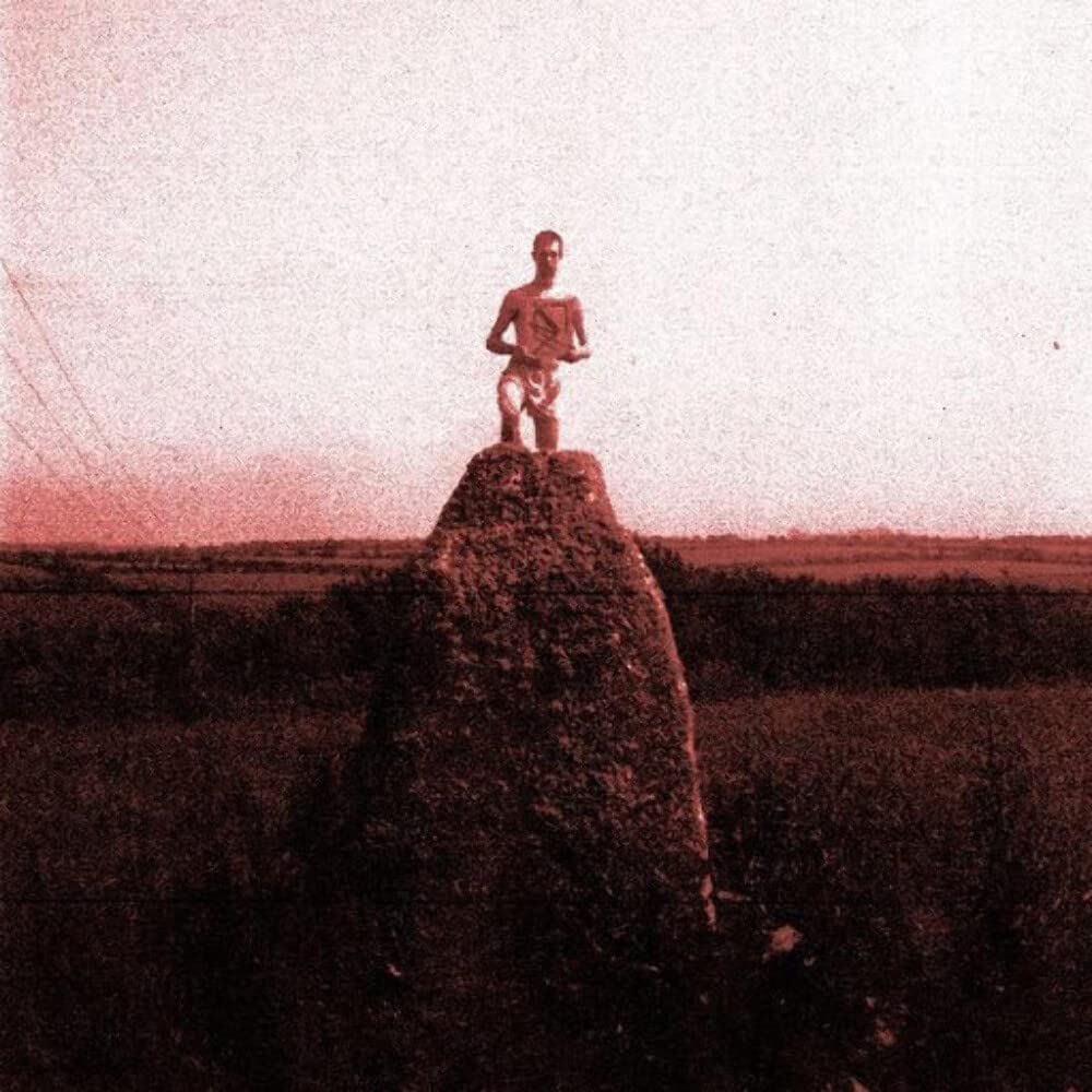 Love What Survives - Remixes Part 1 [VINYL]
