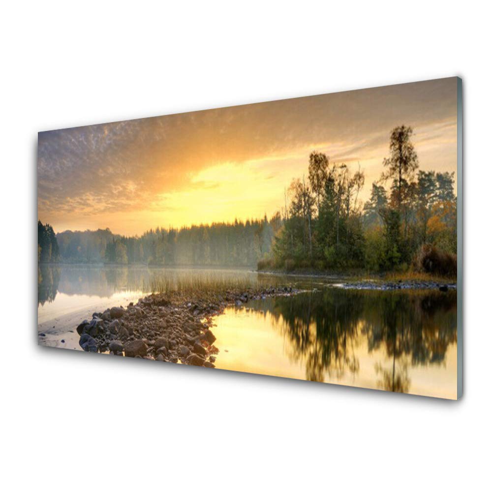 Tableau moderne design de qualité premium en verre trempé 100x50cm avec paysage de forêt