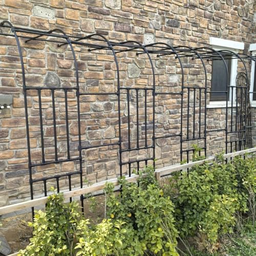 Arche de jardin robuste pour plantes grimpantes, design extérieur durable - 3