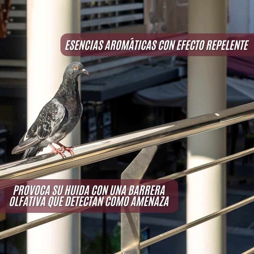 Repelente de aves 1X750 ml I ahuyentador de palomas y pajaros | modificador de conducta para palomas, gorriones, gaviotas | anti palomas balcones, ventanas, edificios | ahuyentador aves