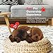 Perfect Petzzz Original Petzzz Chocolate Lab, Realistic, Life-Like Stuffed Interactive Plush Toy, Electronic Pets, Companion Pet Dog with 100% Handcrafted Synthetic Fur