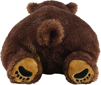 Amazon.co.jp: サンレモン ひざ くま ブラウン M 25×53×15cm