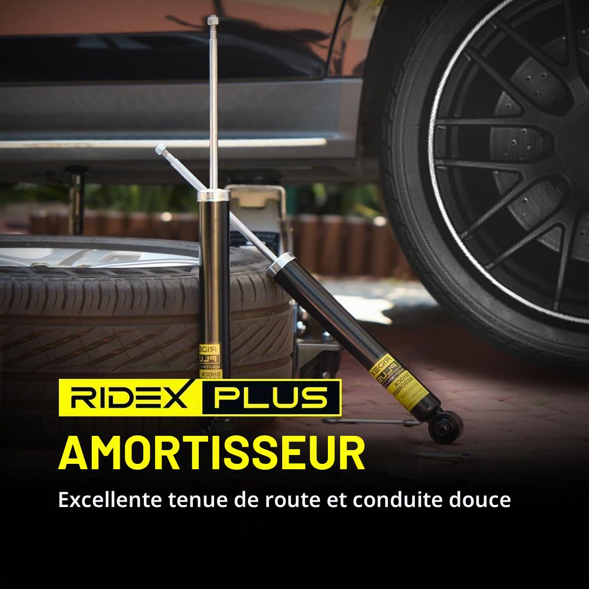 RIDEX PLUS 854S18998P 2x Amortisseur Avant Compatible avec RENAULT Clio 3 3/5 portes BR0/1, CR0/1